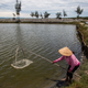 Le Thi Xuan Lan checks on her shrimp farm near her home in the Hai Duong Commune in Hue.